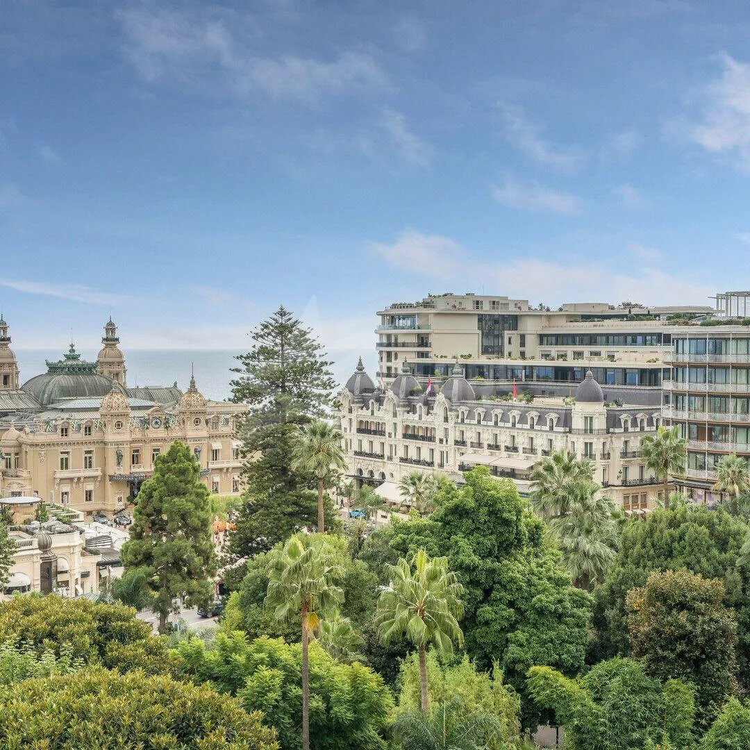 whatsapp image 2026 04 10 at 16.06.54 1 