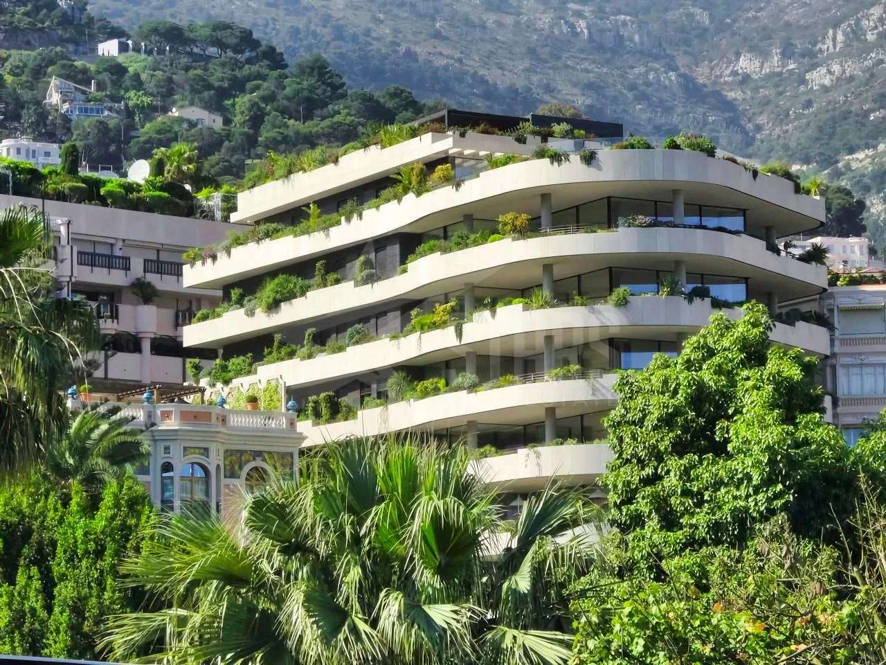 whatsapp image 2026 04 10 at 16.06.54