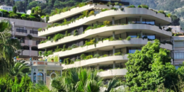 whatsapp image 2026 04 10 at 16.06.54