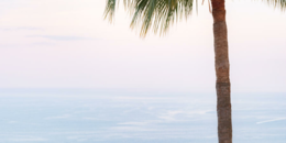 yvan grubski villa nuage 05.2023 lr 09640